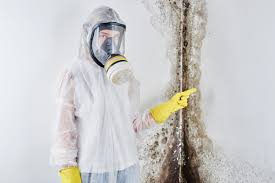 Best Commercial Mold Inspection in USA